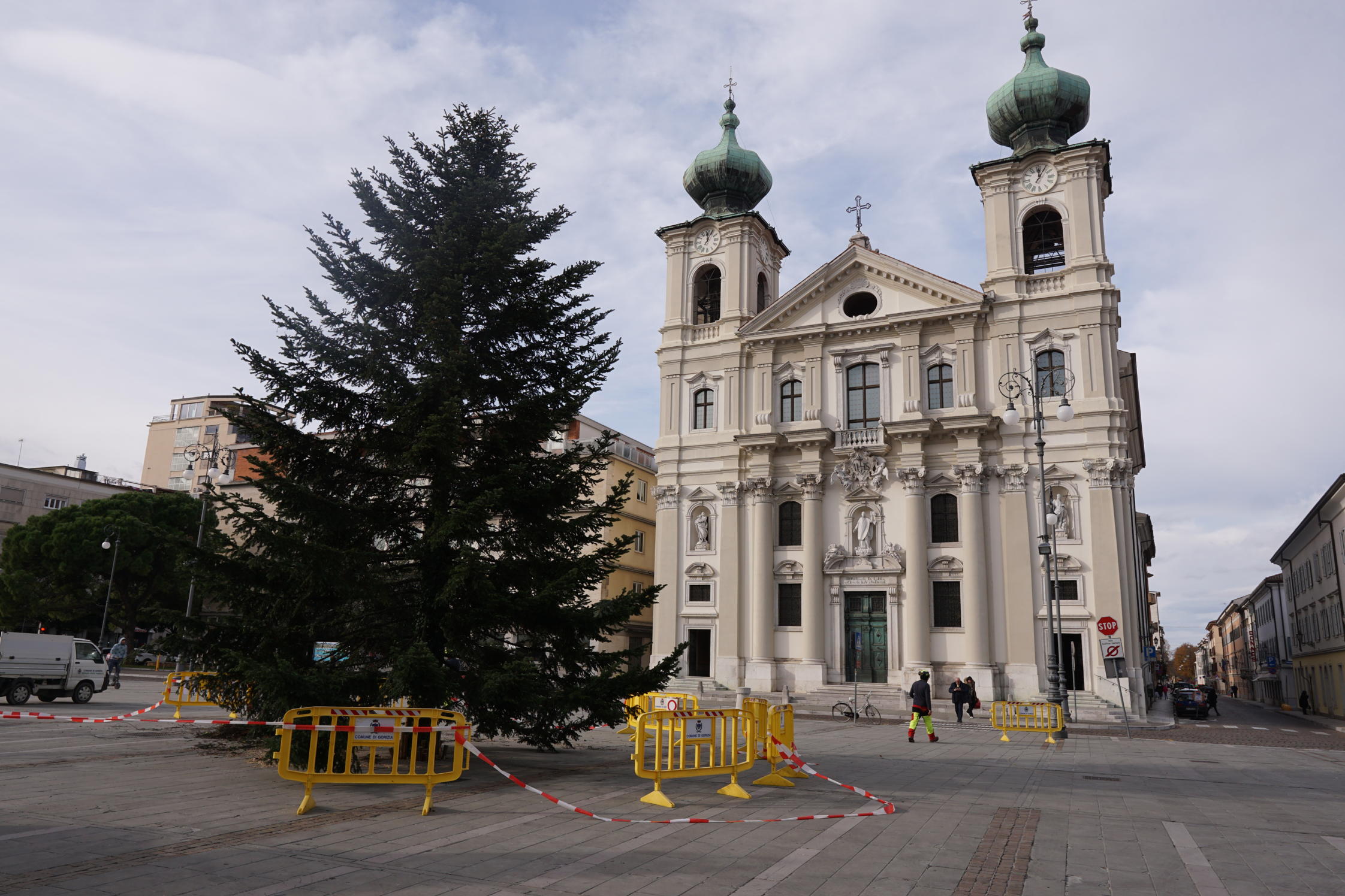 Immagine per L'albero di Natale apre il Dicembre goriziano, dono di Giovanna Martinz